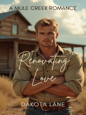 cover image of Liebe renovieren